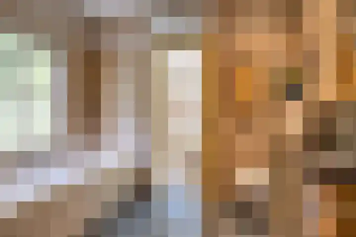 Rammelbroeksweg 1 Rekken thumbnail 36