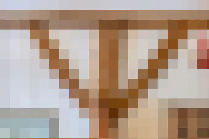 Rammelbroeksweg 1 Rekken thumbnail 40