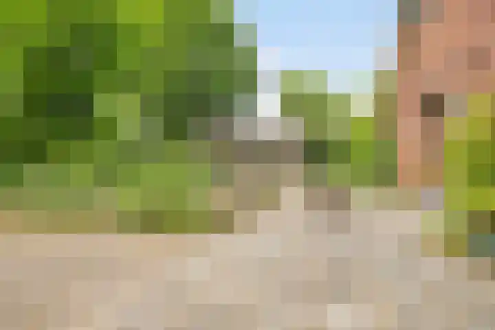 Rammelbroeksweg 1 Rekken thumbnail 45