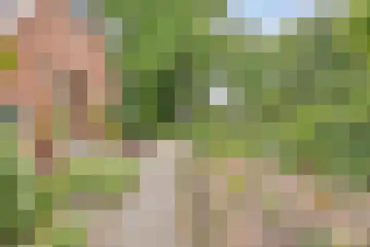 Rammelbroeksweg 1 Rekken thumbnail 46