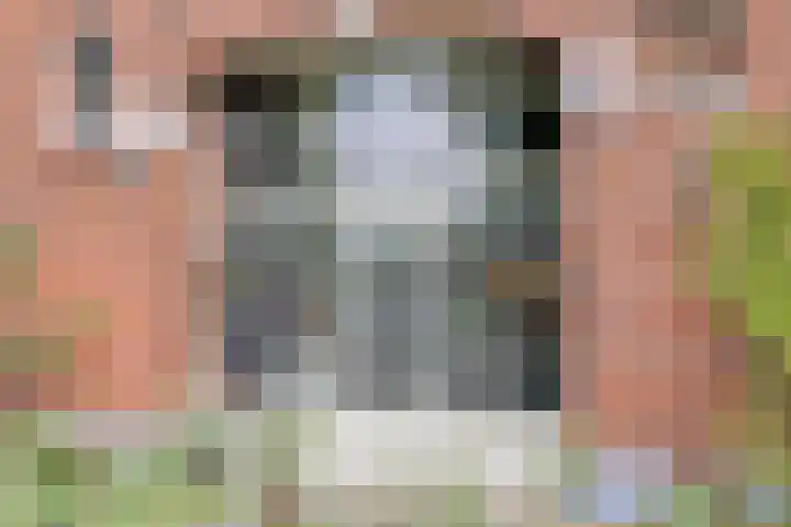 Rammelbroeksweg 1 Rekken thumbnail 48
