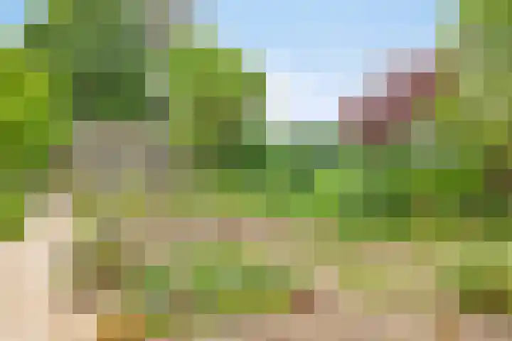 Rammelbroeksweg 1 Rekken thumbnail 51