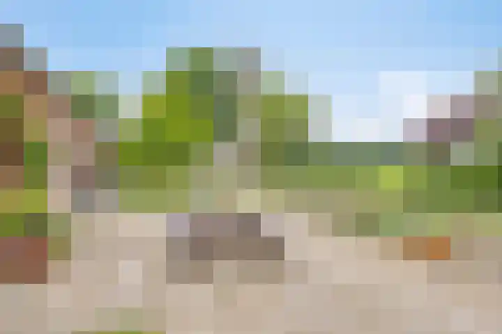 Rammelbroeksweg 1 Rekken thumbnail 52