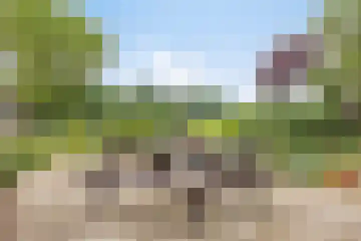 Rammelbroeksweg 1 Rekken thumbnail 53