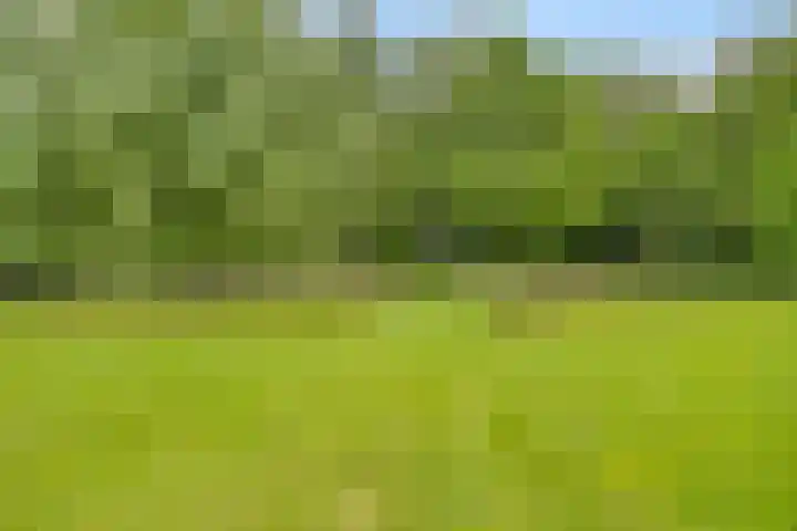 Rammelbroeksweg 1 Rekken thumbnail 59
