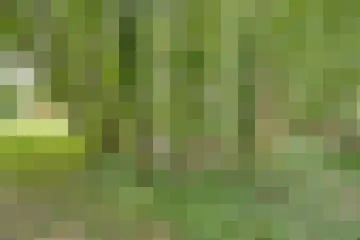 Rammelbroeksweg 1 Rekken thumbnail 60