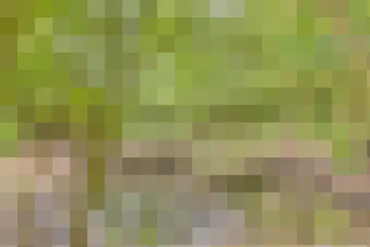 Rammelbroeksweg 1 Rekken thumbnail 61