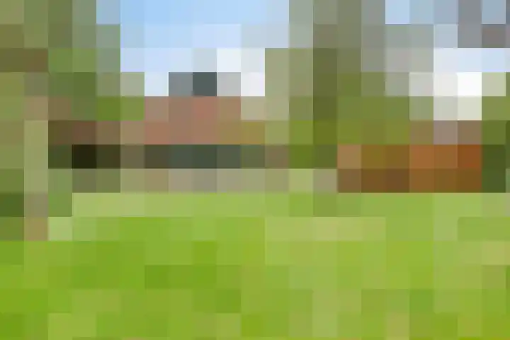 Rammelbroeksweg 1 Rekken thumbnail 64