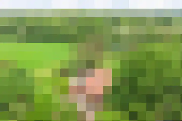 Rammelbroeksweg 1 Rekken thumbnail 7