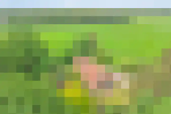 Rammelbroeksweg 1 Rekken thumbnail 8