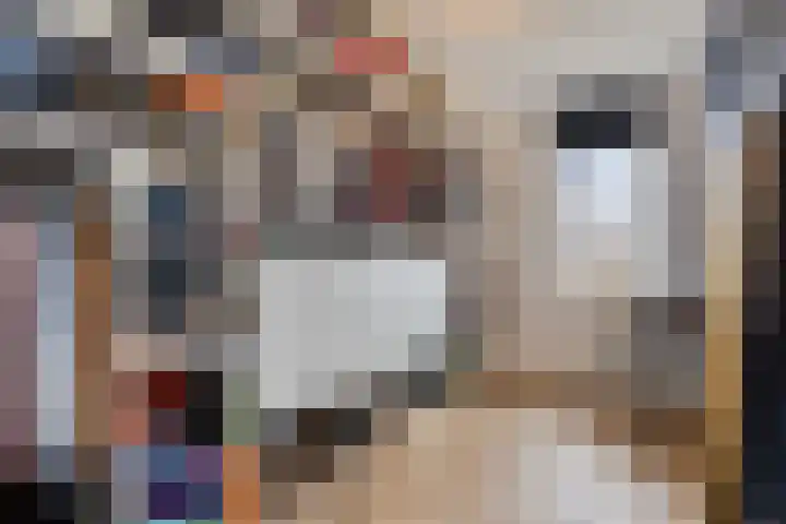 Ramselaar 2 Barneveld thumbnail 23
