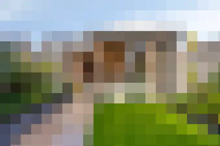 Ramselaar 2 Barneveld thumbnail 30