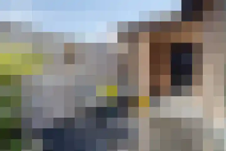 Ramselaar 2 Barneveld thumbnail 31