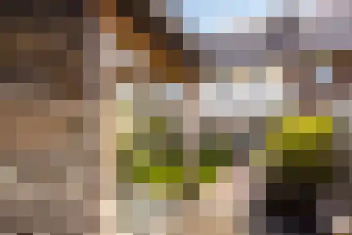 Ramselaar 2 Barneveld thumbnail 33