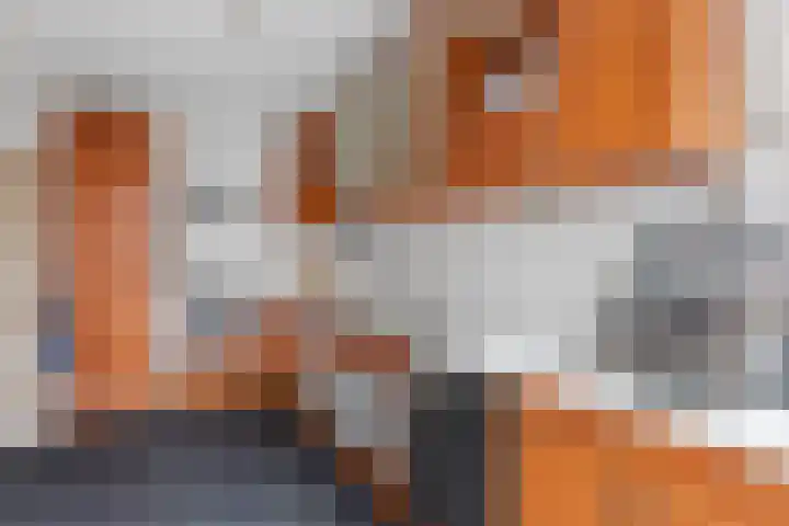 Ramsesdreef 197 Utrecht thumbnail 10