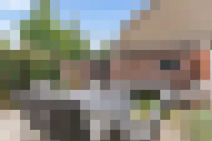 Ramsesdreef 197 Utrecht thumbnail 37