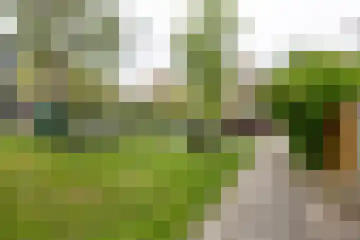 Ramspol 70 Haarlem foto 2