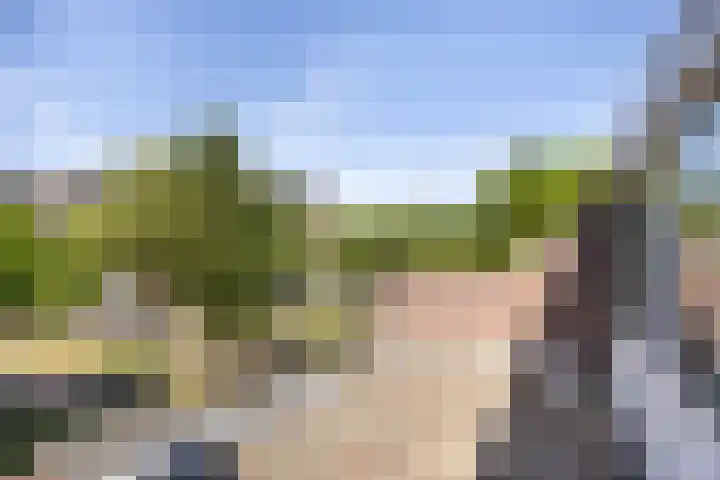 Ramspol 70 Haarlem thumbnail 21