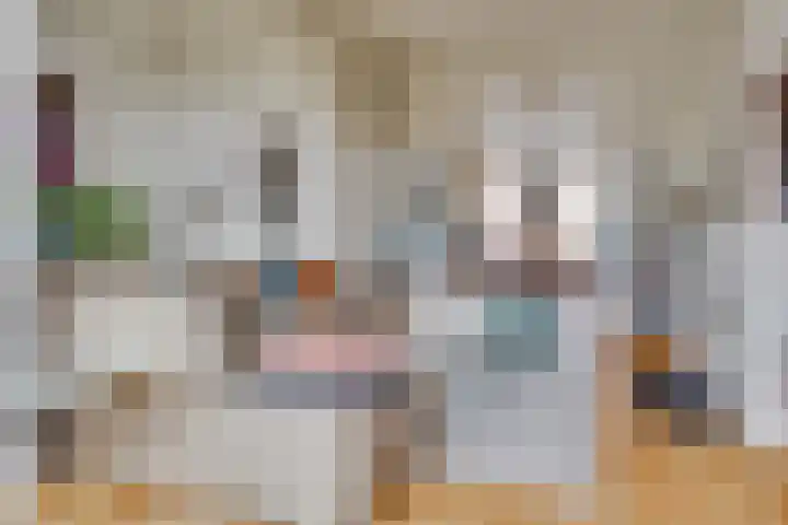 Ramstraat 21 Utrecht thumbnail 32