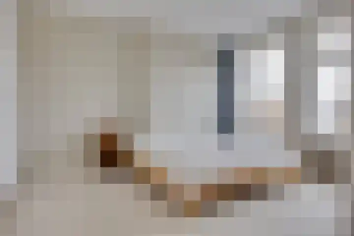 Ramstraat 21 Utrecht thumbnail 39