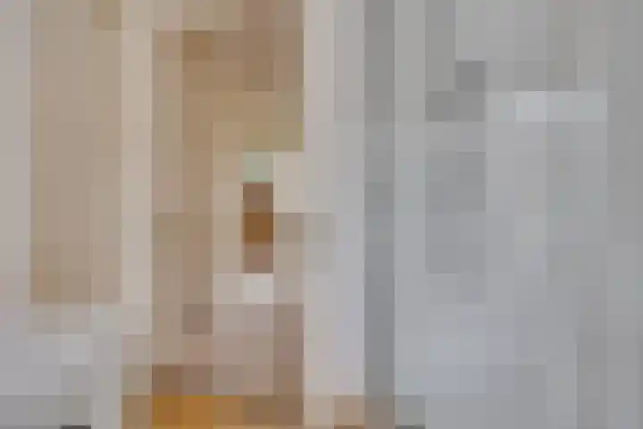 Ramstraat 21 Utrecht thumbnail 46