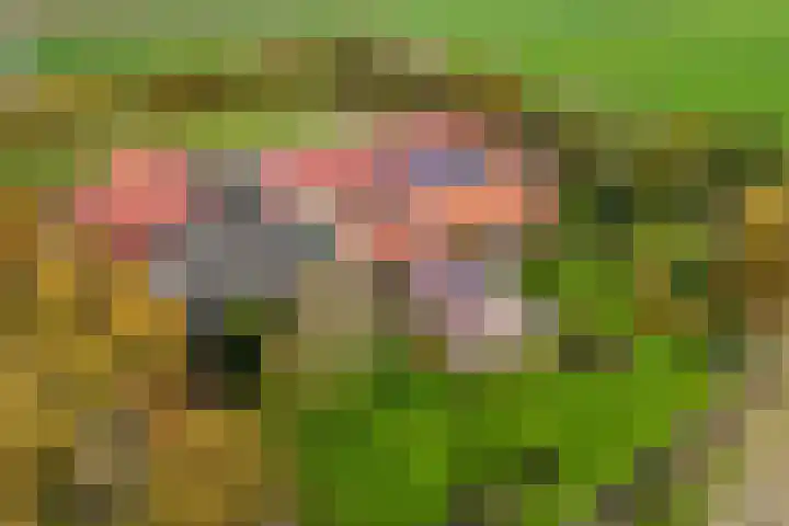 Ramsweg 10 Ens thumbnail 12