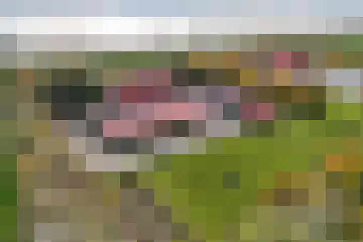 Ramsweg 10 Ens thumbnail 44