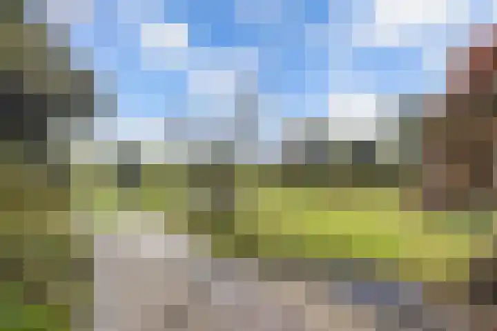Ramsweg 13 A Ens thumbnail 12