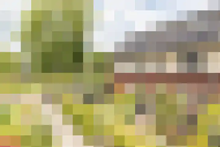 Ramsweg 13 A Ens thumbnail 18