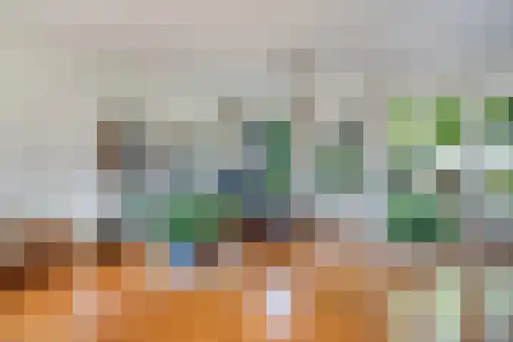 Ramsweg 13 A Ens thumbnail 27