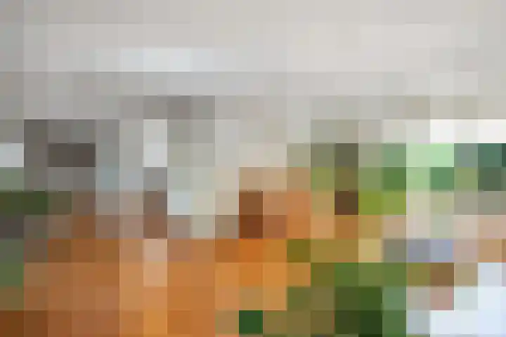 Ramsweg 13 A Ens thumbnail 28