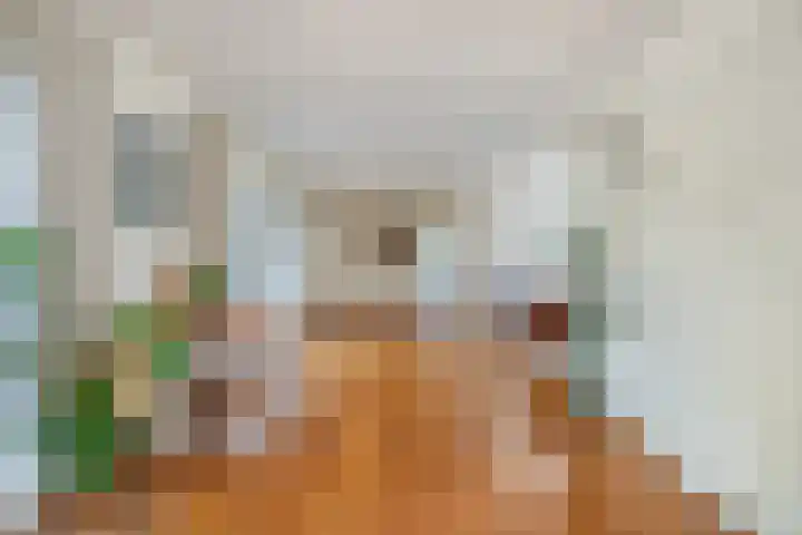 Ramsweg 13 A Ens thumbnail 29