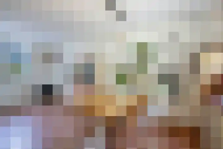 Ramsweg 13 A Ens thumbnail 36