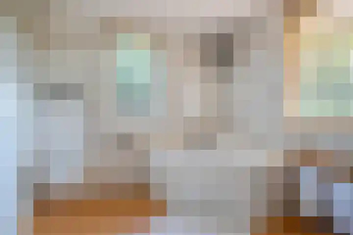 Ramsweg 13 A Ens thumbnail 40