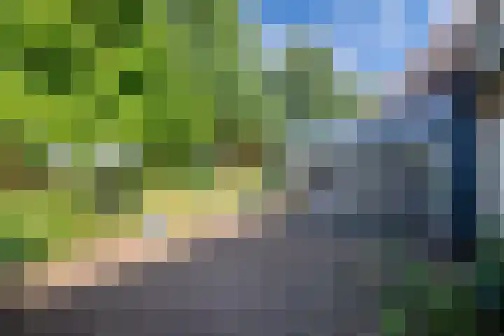 Ramsweg 13 A Ens thumbnail 47