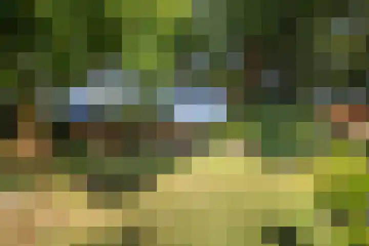 Ramsweg 13 A Ens thumbnail 48