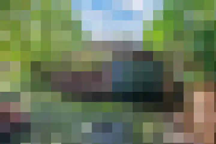 Ramsweg 13 A Ens thumbnail 52