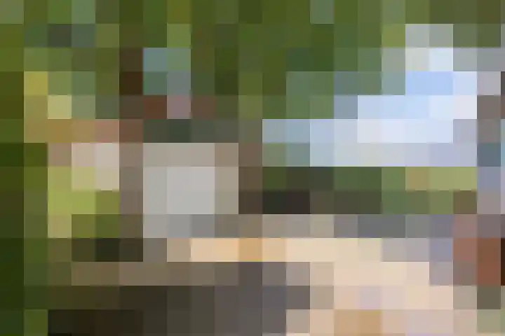 Ramsweg 13 A Ens thumbnail 54