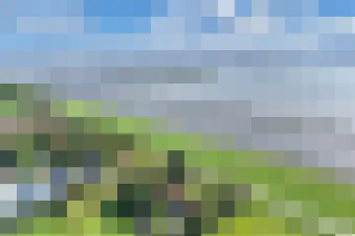 Ramsweg 13 A Ens thumbnail 56