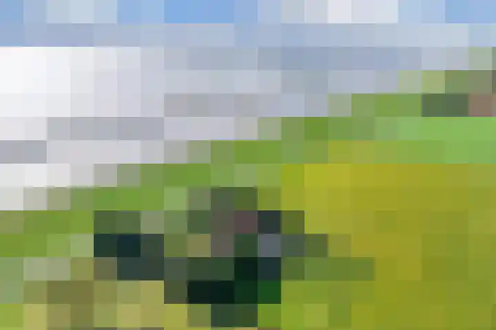 Ramsweg 13 A Ens thumbnail 57