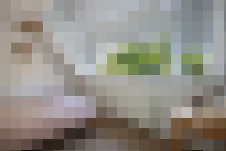 Ramsweg 13 A Ens thumbnail 59
