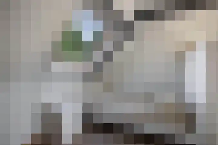 Ramsweg 13 A Ens thumbnail 63