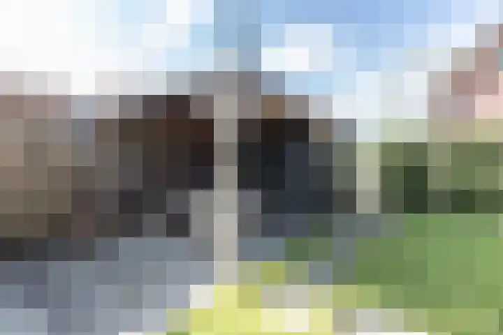 Ranastraat 1 Zuidhorn thumbnail 25