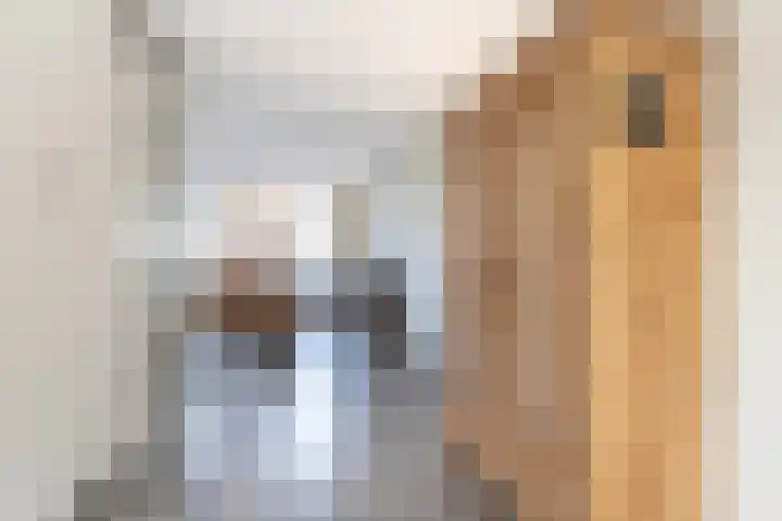 Ranastraat 1 Zuidhorn thumbnail 30
