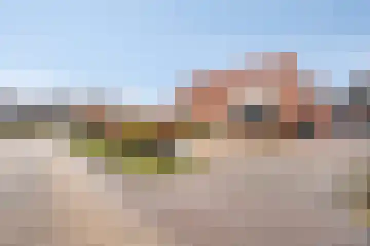 Randel 11 Marum thumbnail 23
