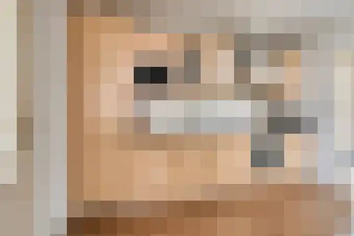Randel 11 Marum thumbnail 4