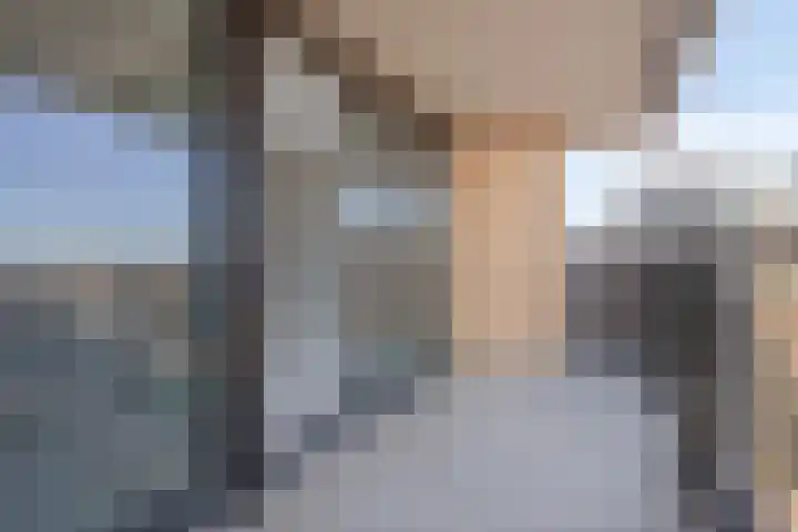 Randveen 534 Den Haag thumbnail 17