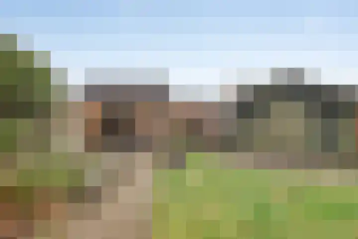 Randweg 146 Meppel thumbnail 39
