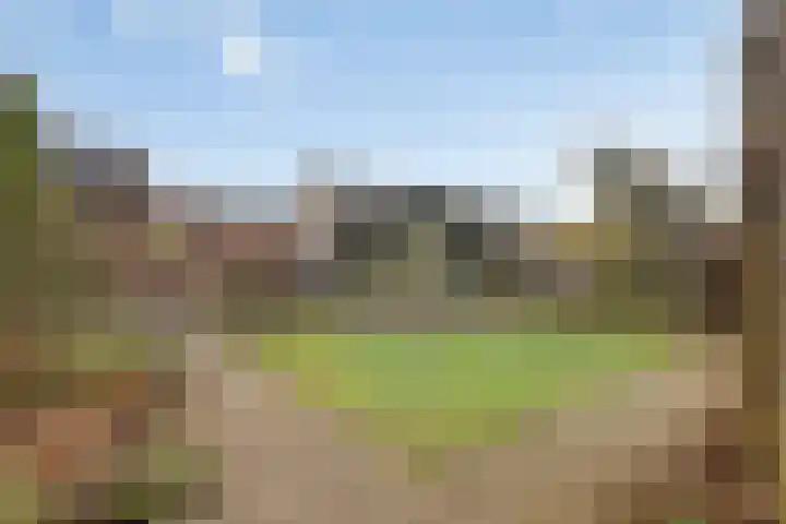 Randweg 146 Meppel thumbnail 4