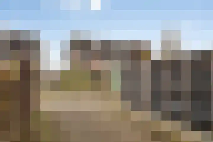 Randweg 146 Meppel thumbnail 41